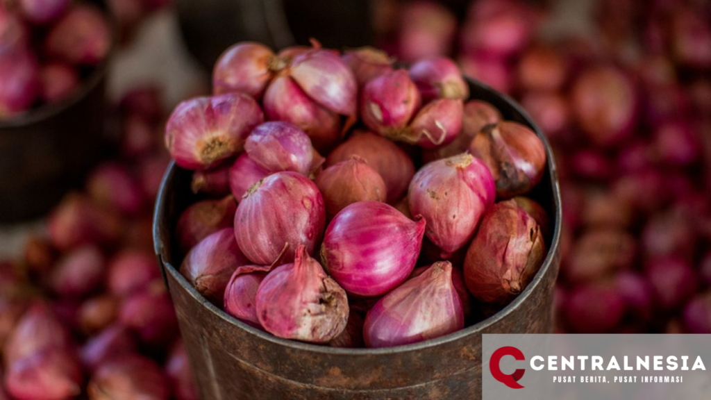 Harga Bahan Pokok per 3 November 2024: Bawang Merah Naik