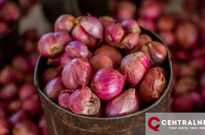 Harga Bahan Pokok per 3 November 2024: Bawang Merah Naik