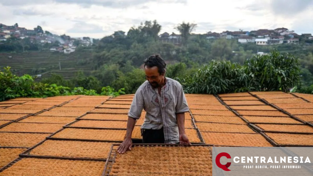 Penyesuaian Cukai Hasil Tembakau Dorong Inflasi Rokok di 2024